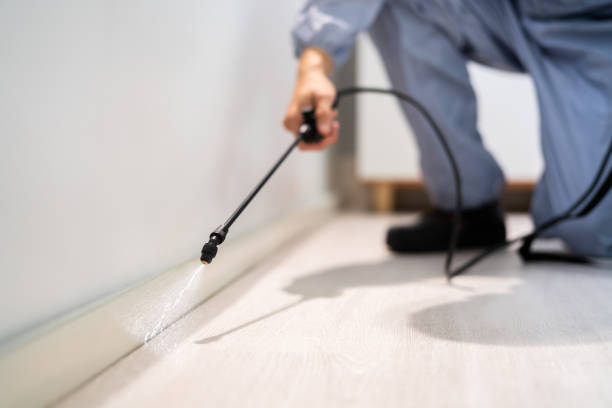 Best Pest Removal Services  in Goldsby, OK