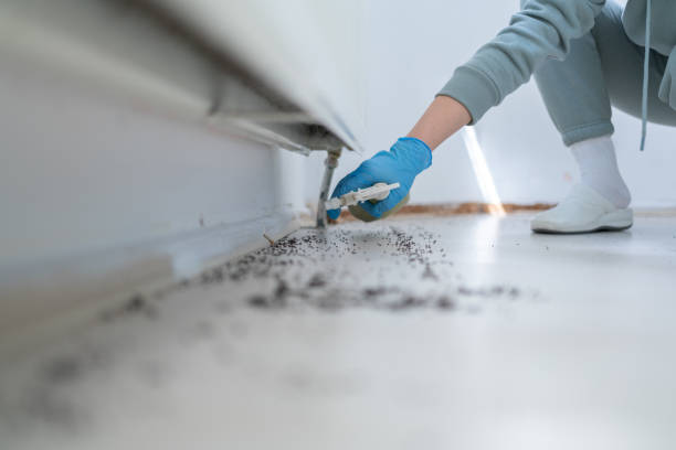 Best Commercial Pest Control Services  in Goldsby, OK